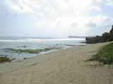 Beach Krakal