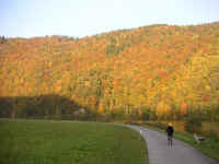tnn_PICT0911.JPG (65626 Byte)