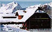 Almgasthof Baumschlagerberg - Wintermärchen werden wahr!