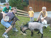 Tiere streicheln