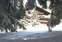 Wintertraum 