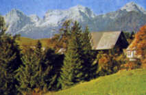 Bauernhof Wurbauer