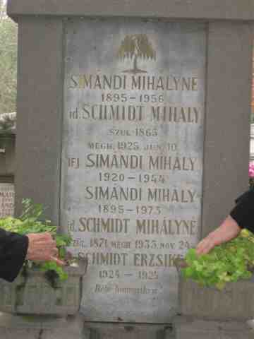 Schmidt-Sim�ndi s�rk� (1)