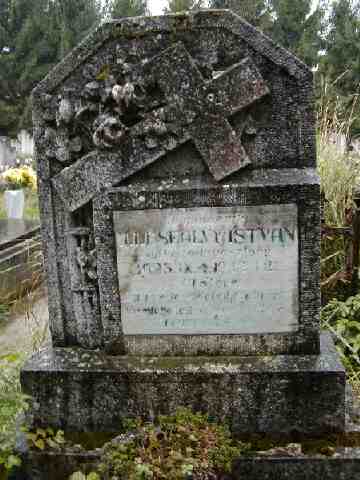 Ill�sfalvy Istv�n s�rja G�ll�n (1)