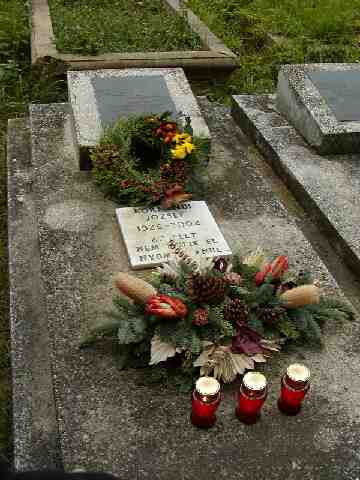 Hamvaszt�s ut�n urn�ja reform�tus gy�szszertart�s keret�ben ap�sa s�rj�ba ker�lt elhelyez�sre.