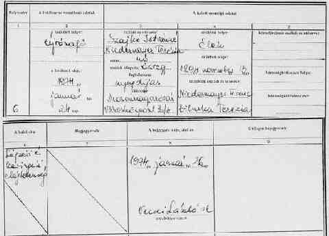 Niedermayer Ter�zia halott ak. kivonat (1)