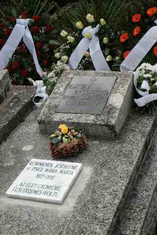 Ipsics M�rta s�rja G�ll�n (1)