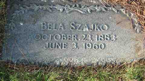 Szajk� B�la s�rk�ve (1)