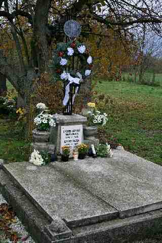 Timaffy Endre s�rja (1)