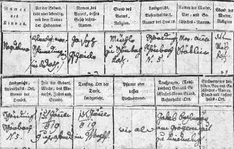 Gschaider Magdolna sz�l ak (1)