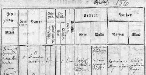 Gschaider Anna Maria sz�l ak (1)