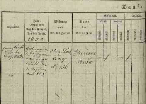 WOLFRAM Theresia Rosa sz�let�si anyak�nyvi kivonat