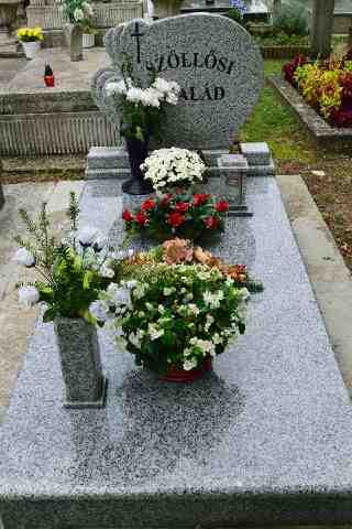 Sz�ll�si Ferenc s�rja (1)