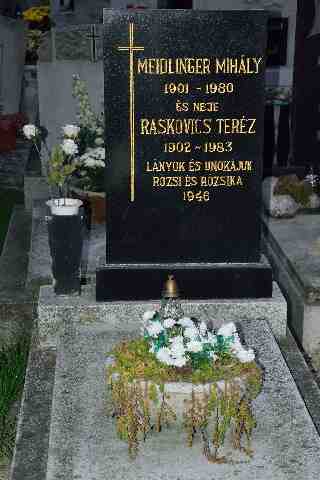 MEIDLINGER Mih�ly �s RASKOVICS Ter�zia s�rja (1)