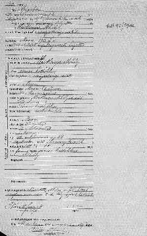 MEIDLINGER Mih�ly sz�l.ak.kivonata (1)