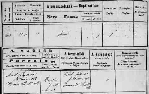 �ROK Anna sz�l.ak 1876-06-17