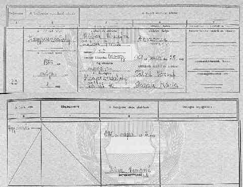 T�LOSI Anna hal.ak 1975-05-01