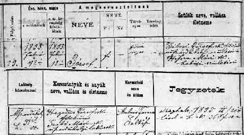 T�LOSI J�zsef sz�l.ak 1895-02-12