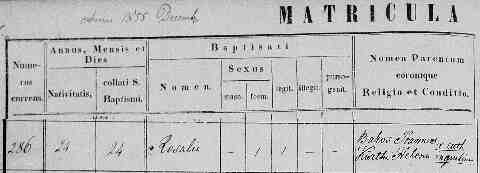 BAKOS Roz�lia sz�l. ak 1855-12-24