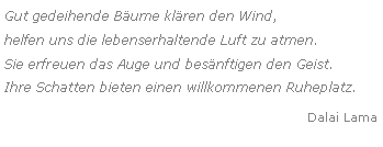 Textfeld: Gut gedeihende Bume klren den Wind,
helfen uns die lebenserhaltende Luft zu atmen.
Sie erfreuen das Auge und besnftigen den Geist.
Ihre Schatten bieten einen willkommenen Ruheplatz.Dalai Lama