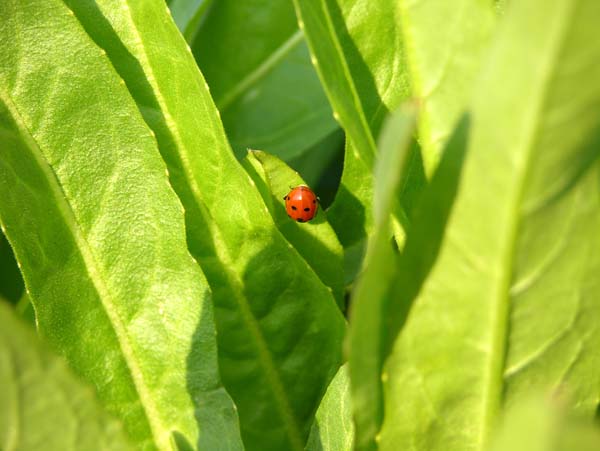 DSCN2701