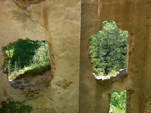 fensterbaeume