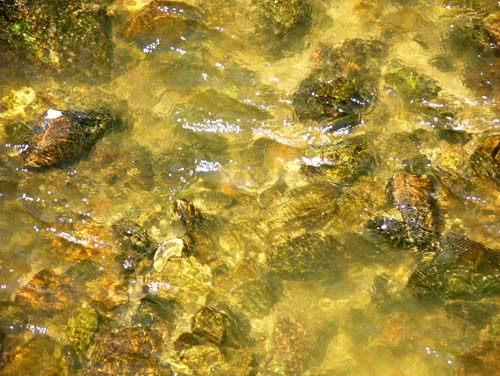 wasser1