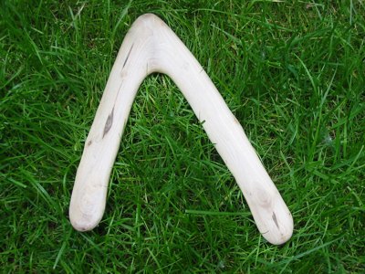 ahornholz Modell: astgabel