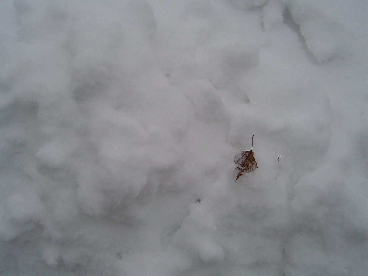 Schnee