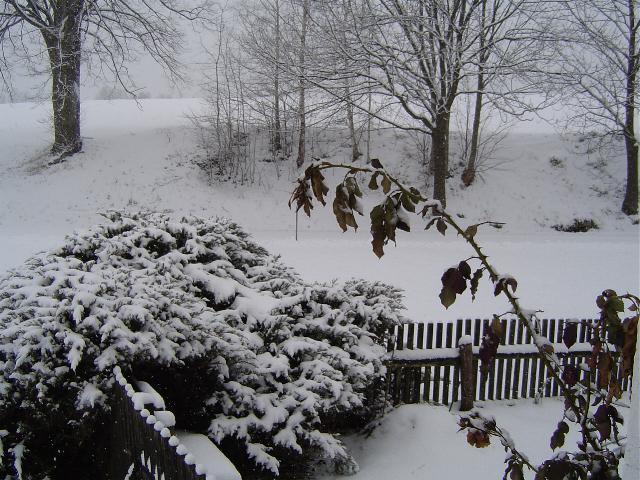 Winter-Schnee