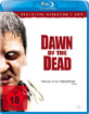DAWN OF THE DEAD