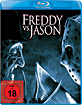 FREDDY vs. JASON