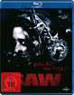 SAW 1