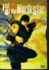 FIST OF THE NORTH STAR
