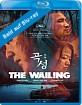 The Wailing: Die Besessenen