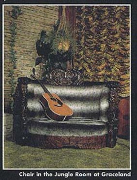 Chair in Jungle Room