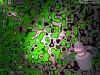 DiscoBENDER1024.jpg (217441 Byte)