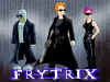 frytrix.jpg (268906 Byte)