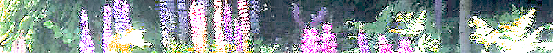 Blumen