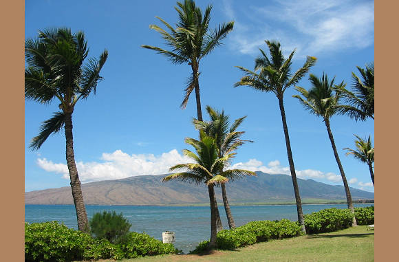 Maui -  Blick von der Hotelterrasse