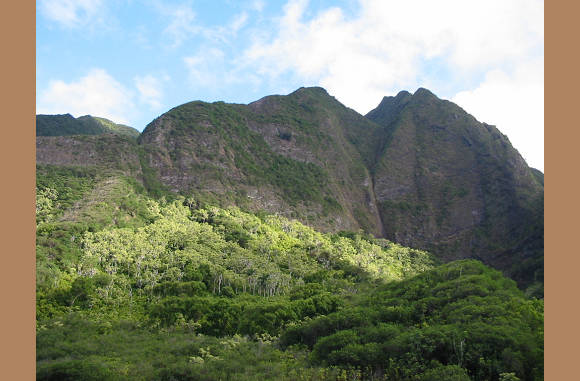 Maui - IAO Valley