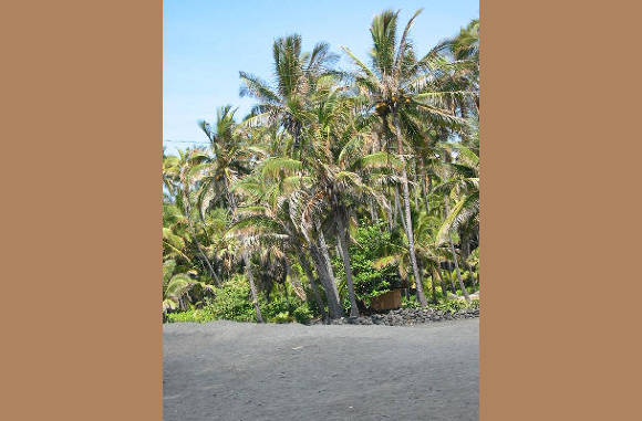 Big Island - .Black_Sandy_Beach