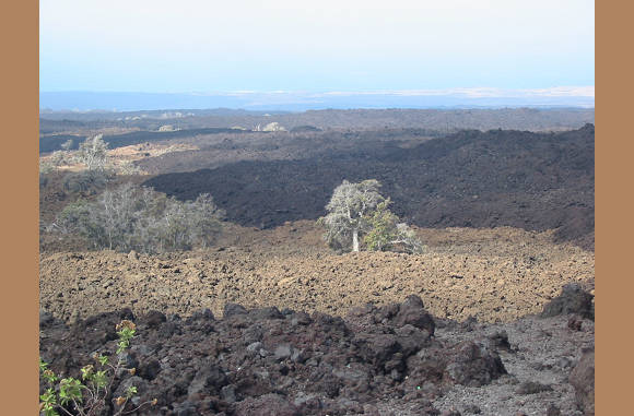 Big Island -  Lavafelder