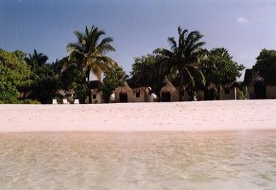 Beach-Bungalow