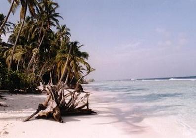 Strand am Aussenriff