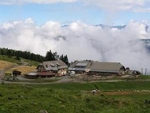 Tressdorfer Alm