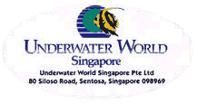 Underwater World