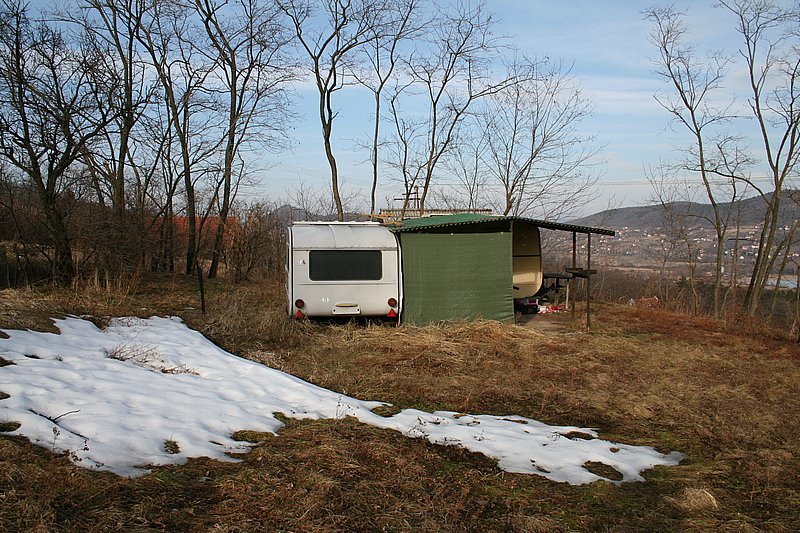 �vegtigris B.jpg.JPG