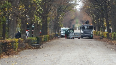 20201111_024 Schoenbrunn, Forstarbeiten.jpg