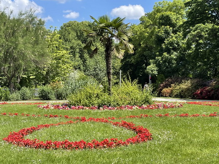 20210610_043 Schoenbrunn, Botanischer Garten.JPG